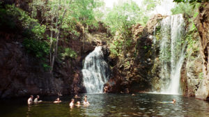 Fun and fresh are the fabulous Florence Falls, Litchfield N.P., NT