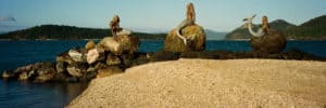 The Mermaids of Daydream Island, Whitsundays, QLD