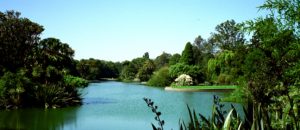 An urban oasis of calm, Melbourne, VIC