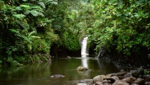 The spectacle of Wainibau Falls is a highlight of Taveuni, Fiji