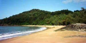 Hinchinbrook Island is covered by one of Australia’s largest National Parks and is also a Great Barrier Reef World Heritage Island