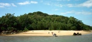 Heading off into the dense interior of Hinchinbrook Island, QLD