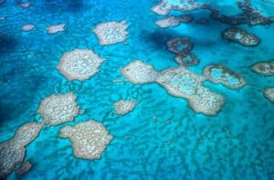 The Great Barrier Reef runs up-and-down along the coast of Queensland all the way to Papua New Guinea