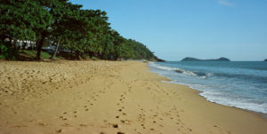 A gentle surf laps the beach at Palm Cove, QLD