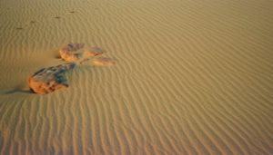 Shifting sands on the Dampier Peninsula in NW Australia