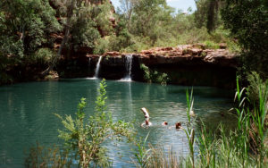 Serenity Now! Fern Pool, Karijini N.P., WA