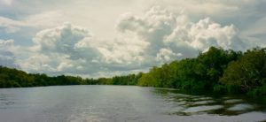 The buildup of massive thunderclouds is a highlight of the wet season in Kakadu N.P., NT