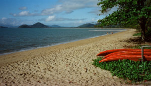 One of a series of golden sand beaches around Cairns, QLD