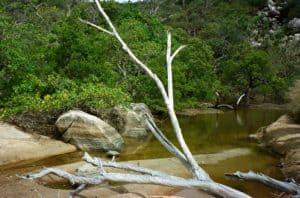 A serene scene in the verdant interior of Magnetic Island, QLD