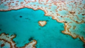 This is it! The mesmerizing wonders of Heart Reef, a GBR star