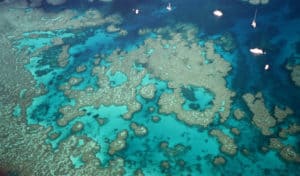 Enjoying the delights of the Great Barrier Reef both from above and below