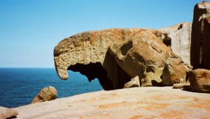The nooks, crooks and hooks of Kangaroo Island’s Remarkable Rocks make for extraordinary perspectives