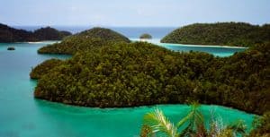 The waters surrounding Raja Ampat are a wonderland of healthy coral reefs which are home to a profusion of fish and sea life