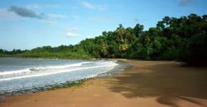 The tropical rainforest rushes right up onto golden sands near Mission Beach, QLD