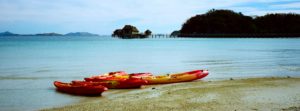 Malolo island is the largest of the Mamanucas and home to a variety of resorts, Fiji