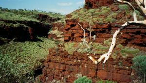 Sheer canyons slice through the Pilbara region of Western Australia