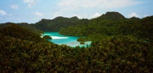 Sheer cliffs rise up above impenetrable jungle on the islets of Wajag island, Raja Ampat, Indonesia