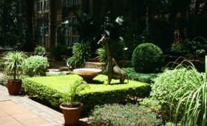 Giraffe Garden, Nairobi, Kenya