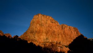 Golden Glow Near Zion National Park, Utah