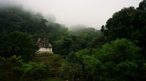 Mist and Mystery, Palenque, Chiapas, Mexico