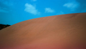 Rippling dune rises against the azure sky, Shark Bay WA