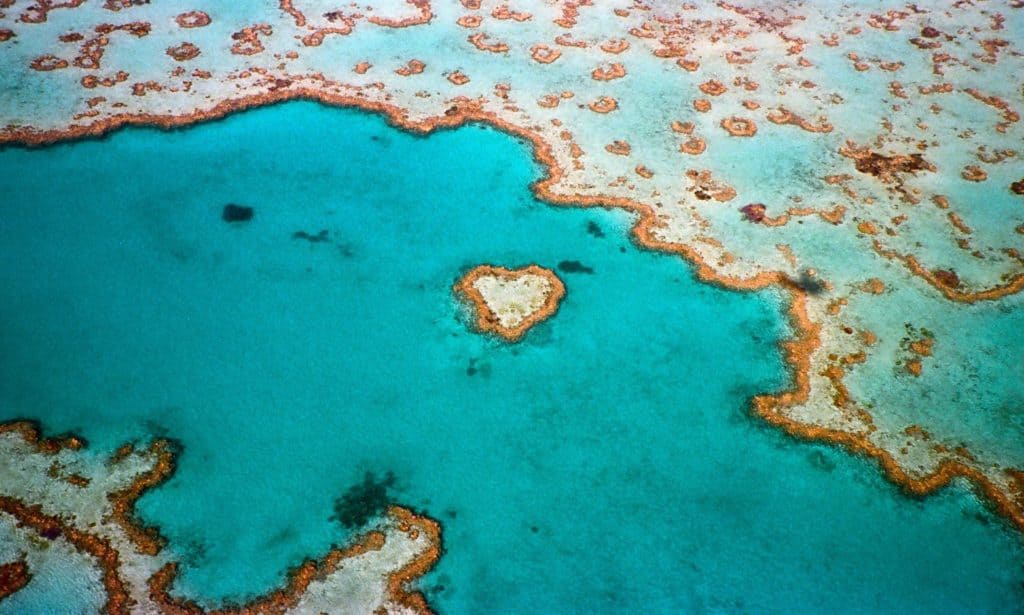 Whitsundays and the Great Barrier Reef