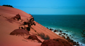 Starkly contrasting hues make for a sensational vista, Shark Bay WA